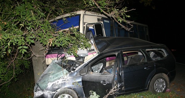 Пассажирский БАЗ попал в ДТП на мариупольской трассе