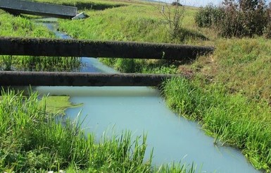 На Ивано-Франковщине река превратилась в 