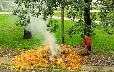 В Донецке сжигателей листвы ловят спецбригады