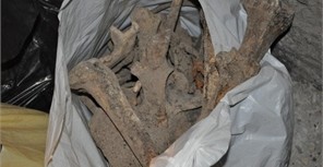 Чудовищная находка в Керчи: сотрудники музея обнаружили мешки с останками 30 человек