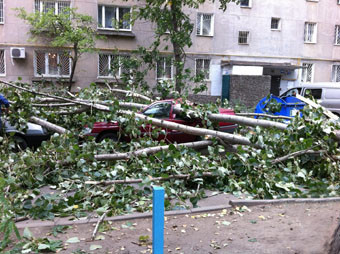 Стихия в Одессе повалила десятки деревьев на машины