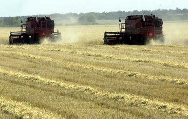 Украина хорошо заработала на зерне