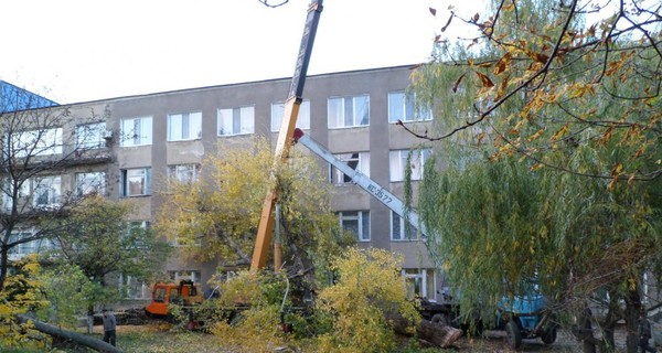 На Одесщине дерево убило крановщика