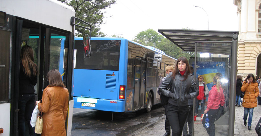 Водители автобусов спят по четыре часа в сутки и обедают в дороге
