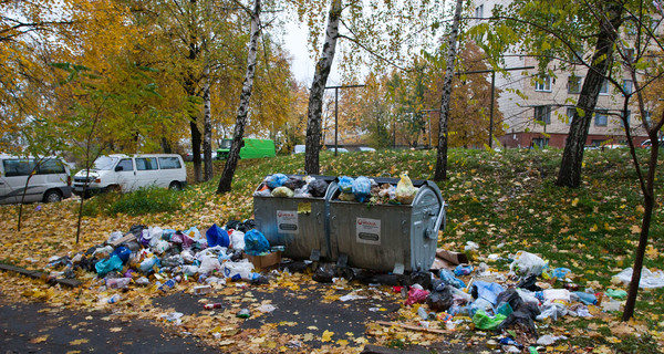 Соседи Мазурка: 