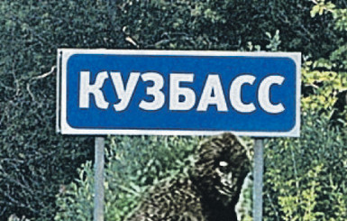 Ученые доказали, что в Кузбассе водятся йети 