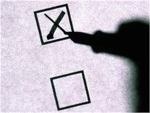 Итоги выборов: ЦИК приняла документы с округа, где якобы победил Губский