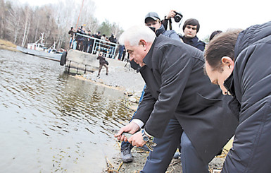 В Киевское море выпустили редкие виды рыб 