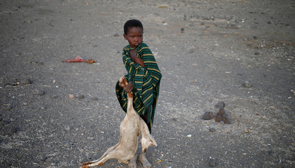 Национальное бедствие в Кении: беспощадная засуха уничтожает все