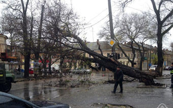 Последствия стихии в Одессе: Море вышло из берегов, а ветер повалил 80 деревьев