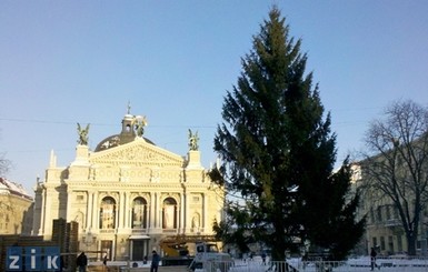 В центре Львова поставили 