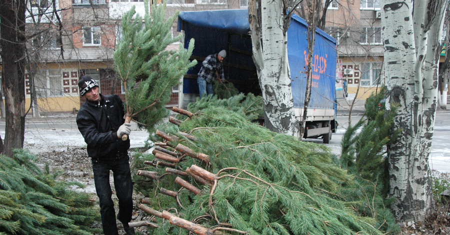 Дончане встретят Новый год у полтавских елок