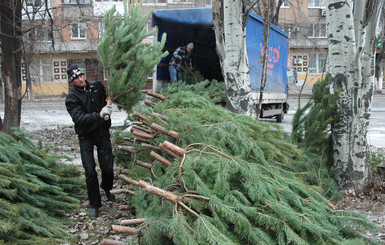 Дончане встретят Новый год у полтавских елок