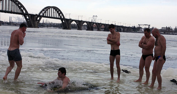 Моржей с каждым годом становится все больше