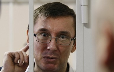 Адвокаты Луценко требуют выпустить его на свободу 