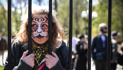 В Киеве прошел митинг против использования животных в цирке