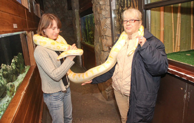 В Одесский зоопарк отдают подаренных змей, а те сбегают через канализацию