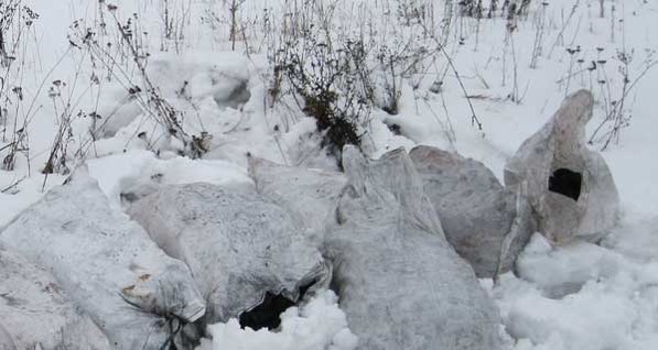 В Донбассе девушка украла из поезда 300 кило угля 