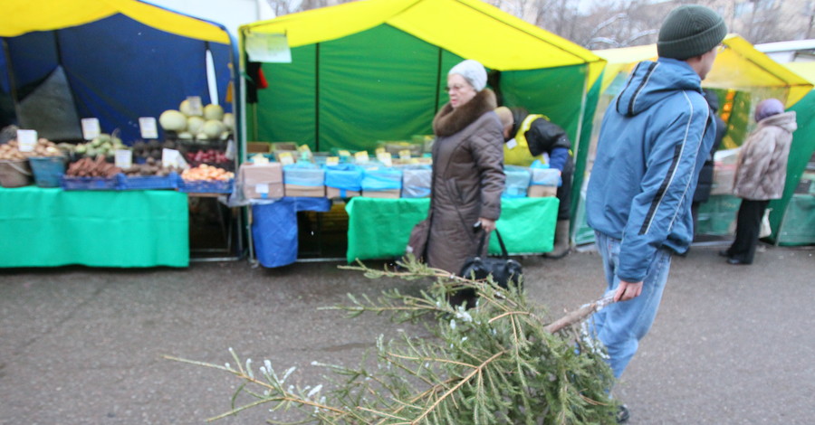 Донецк обогреют новогодними елками