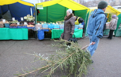 Донецк обогреют новогодними елками