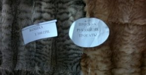 В Симферополе торгуют кошачьими шкурками?