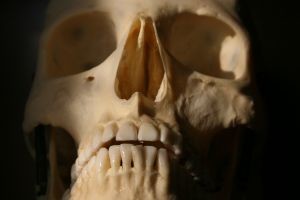 Скелет человека нашли на чердаке эстонского театра