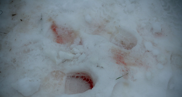 У милиции есть свидетели, видевшие убийцу директора 