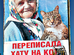 Автор скандального билборда с котом: 