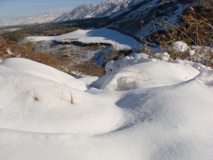 В Ужгороде мокрый снег завалил жилой дом