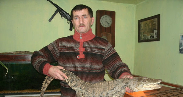 Сторожевой крокодил: не лает, а сразу кусает