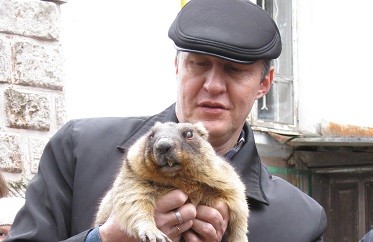 Львовский сурок Миша предсказал позднюю весну