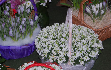 Весна в розницу: продавца подснежников с Бессарабки оштрафовали на 380 тысяч 