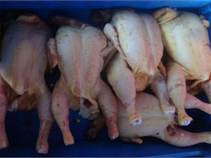 Стала известна причина возврата Россией 40 тонн украинской курятины