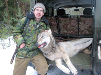 Фермеры начали отстрел волков, терроризирующих одесские села