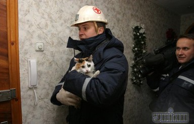 Шуфрич вынес картонного Азарова из Рады