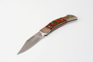 На Черниговщине арестовали экс-милиционера, напавшего на беременную женщину