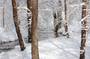 На Львовщине закрыли несколько дорог