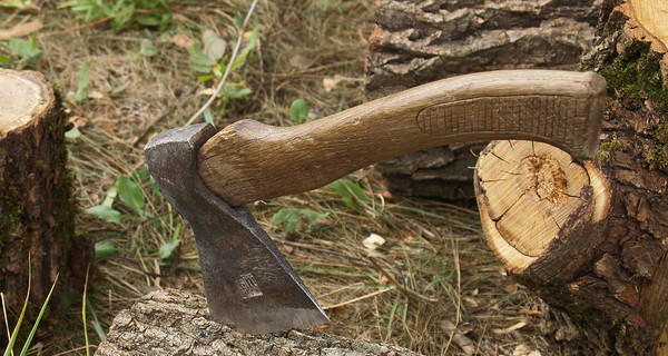 Священник с топором задержал грабителя 