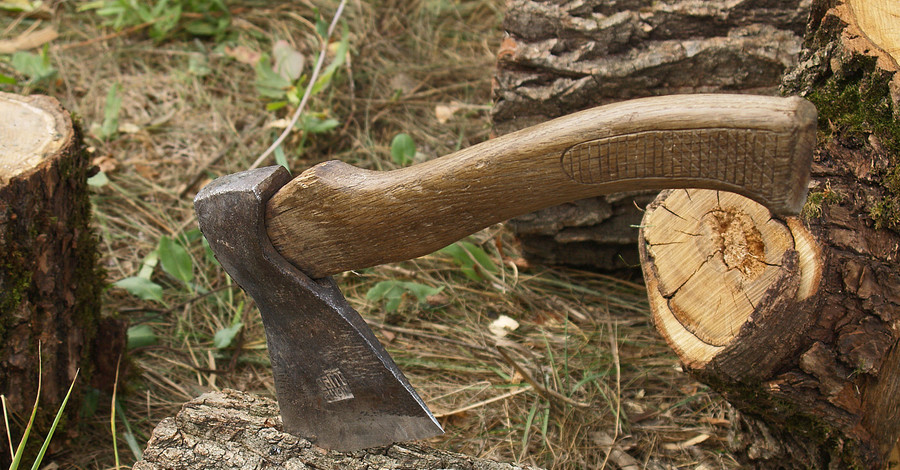 Священник с топором задержал грабителя 