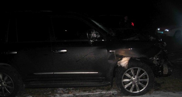 На Житомирщине поймали иностранца, устроившего аварию