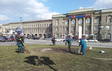 В центре Донецка спилили ели-символы