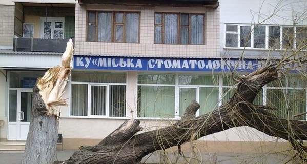 Ураган покидает Одессу, завалив в городе порядка 30 деревьев