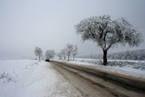 В милиции отрицают драку волонтеров и спасателей на Житомирской трассе