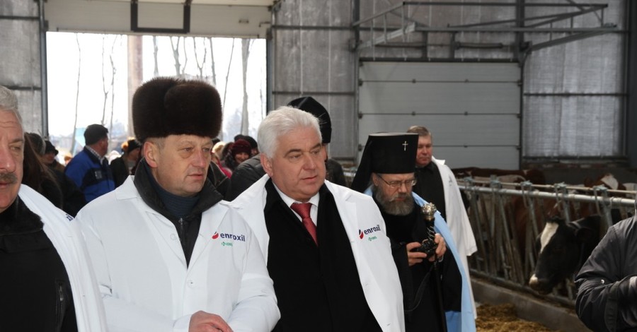 На Киевщине открылась уникальная молочно-товарная ферма