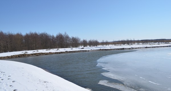На Черниговщине талая вода подтопила село