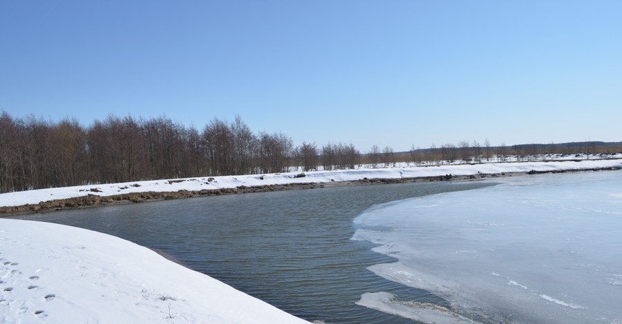 На Черниговщине талая вода подтопила село