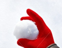 Нардепы призвали оппозиционеров не раскалывать Раду и общество