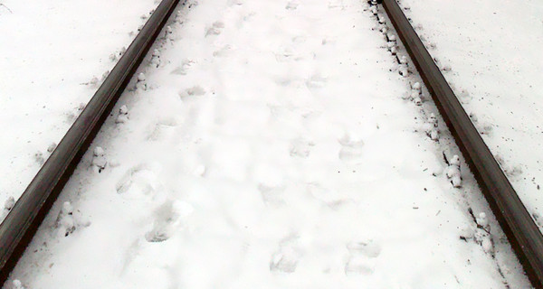 Снежная лавина накрыла поезд