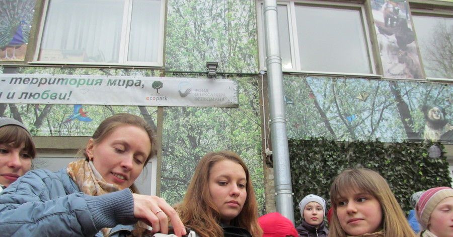 Харьковчанка выпустила из холодильника 190 летучих мышей