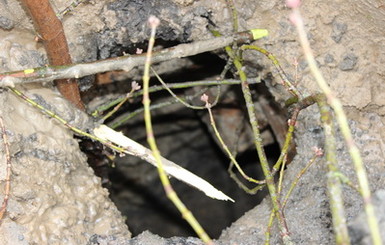 В Луцке провалившийся кусок дороги открыл старинное подземелье